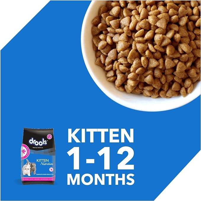 Drools Kitten Dry Cat Food, Ocean Fish Flavour 1.2Kg